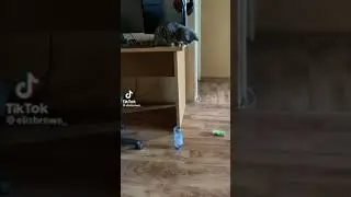 вау ххахаха