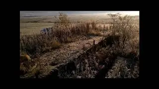 Планы на будущее.