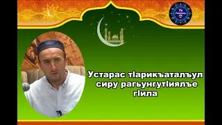 Устарас т1арикъаталъул сиру муридзабазде щай рагьулареб?