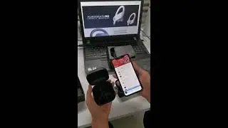 Power Beats Pro - 1 Paar völlig kabellose Ohrhörer