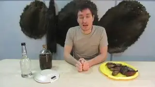 Что такое бобровая струя, castor, кастореум, beaver castor