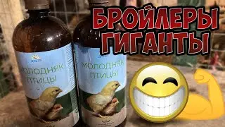 ВИТАМИНЫ для БРОЙЛЕРА / ФАНТАСТИЧЕСКИЕ РЕЗУЛЬТАТЫ / ПРАВИЛЬНАЯ ПРОПОЙКА