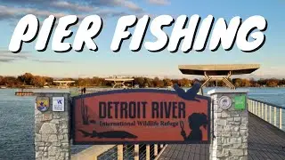 Where to CATCH SILVER BASS from SHORE on the DETROIT RIVER