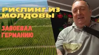 Старые лозы: как удивляет 40-летний виноград (русские субтитры)