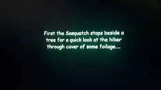 MICHIGAN BIGFOOT... THE FAMOUS HIKER VIDEO
