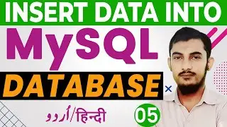 05 How To Insert Data Into MySQL Database Tutorials For Beginners In Urdu And Hindi @RahberAcademy