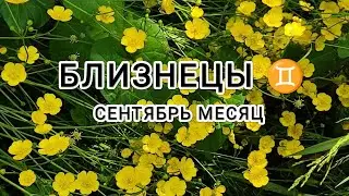 БЛИЗНЕЦЫ ♊ тароскоп сентябрь месяц &Gemini taroscope month of September