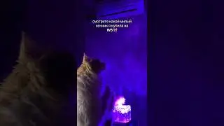 Артикул: 166880209