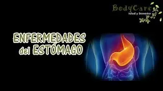 Enfermedades del estómago