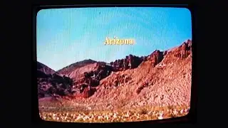 Palmyra - 