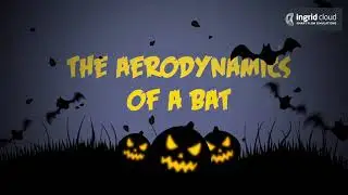 The aerodynamics of a bat