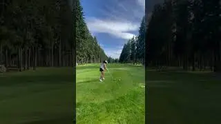 tree lined fairway driver tee shot sunny day golf course