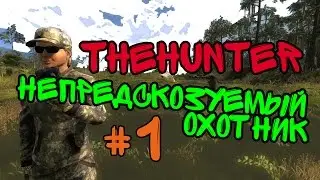 Непредсказуемый охотник  - theHunter #1