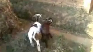 Latest funny video on youtube