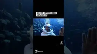 #shorts Aquatrek Xtreme was amazing at Atlantis Dubai! See Incredible Footage!