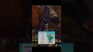 7 дней в неделю, 365 дней в году, все праздники.