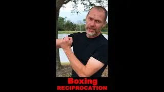 Boxing Basics - Reciprocation - Core JKD #shorts