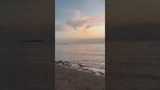Сестрорецк