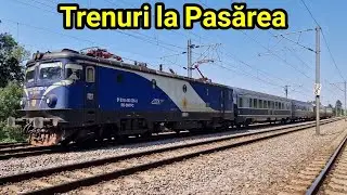 Trenuri la Pasărea