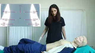 COMÜ Batın Muayene Beceri Eğitim Videosu
