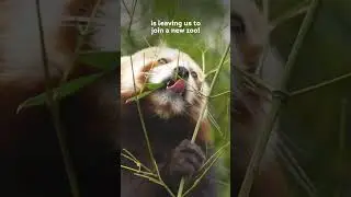 June's jam packed animal antics! 