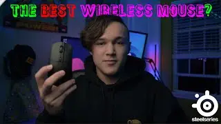 The Best Mouse Nobody Has Heard of