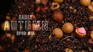 Get MORE Bites This Autumn With This Mix 🔥🍂