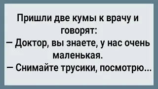 Как Две Гулящие Кумы к Врачу Сходили! Сборник Свежих анекдотов! Юмор!