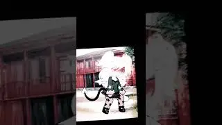 "остался несчастный малыш серотой(" "меме"