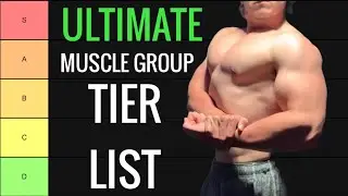 Muscle Group Tier List (For an Aesthetic Physique)