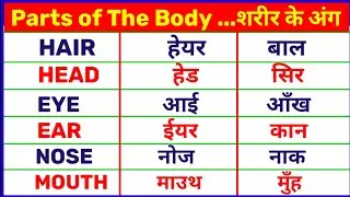 Human Body Parts Name Hindi and English | शरीर के अंगों के नाम हिंदी और अंग्रेजी में