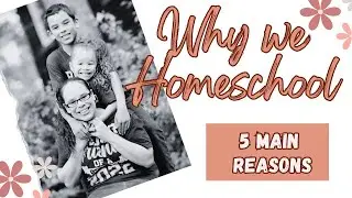 Why do we homeschool? 5 Reasons we HOMESCHOOL