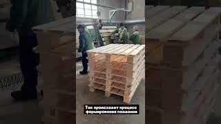 Пилорама поселка Лесной