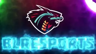 DREAMTEAM | BLReSPORTS