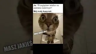 RANDOMOWE Memy odc.107 | Polskie Memy | Memy Po Polsku | 🤣 #śmieszne #memy #humor
