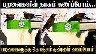 பறவைகளின் தாகம் தணிப்போம் | பறவைகளுக்கு கொஞ்சம் தண்ணீர் வைப்போம். | Let's quench the thirst of birds