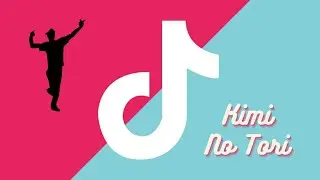 Kimi No Tori | TikTok