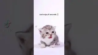 Sad 😞