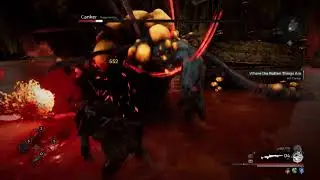 Boss Fight Canker: Remnants: From the Ashes