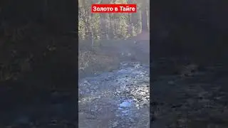Золотые Ручьи Восточного Казахстана