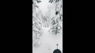 Выпало очень много снега, по словам местных, это крупнейший снегопад с 2019 года в #шерегеш 2023