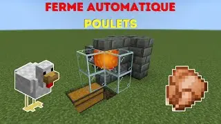 [TUTO] Ferme à POULETS 100% AUTOMATIQUE 🐔