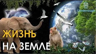 Жизнь на Земле: Разнообразие и Классификация живых организмов