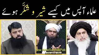 Ulama apas me akathy kese hwe || Anti Venom Ali Mirza