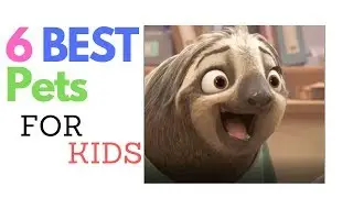 6 Best Pets for Kids