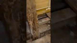 Где ванна?