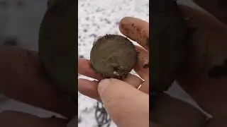 шайба 1778г