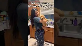 My dog wishes he was still a puppy