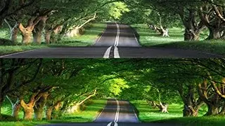 Adobe Photoshop-Renk Doygunluğu (Vibrance Ayarları)