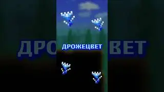 ВСЕ ПРО ДРОЖЕЦВЕТ В ТЕРРАРИЯ!!! 